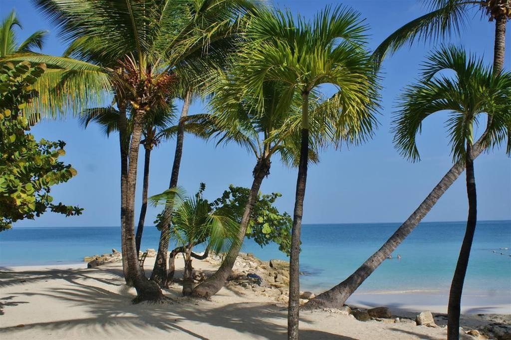 Siboney Beach Club St. John's ภายนอก รูปภาพ