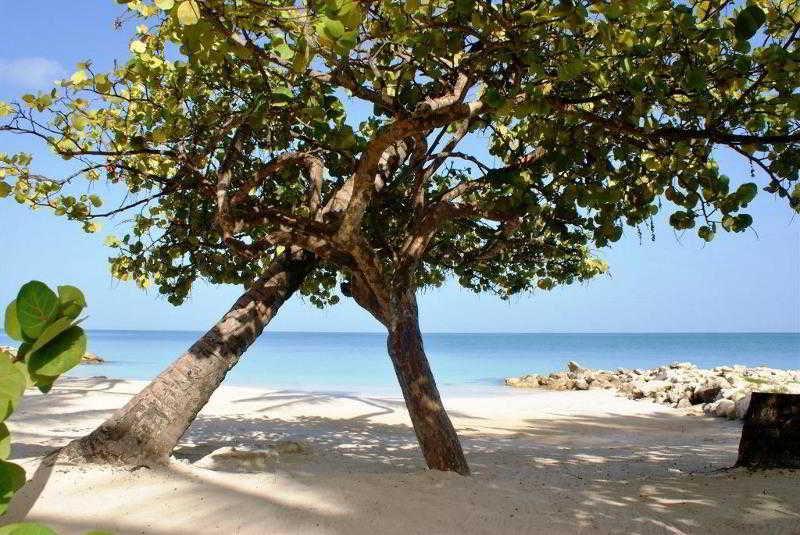 Siboney Beach Club St. John's ภายนอก รูปภาพ